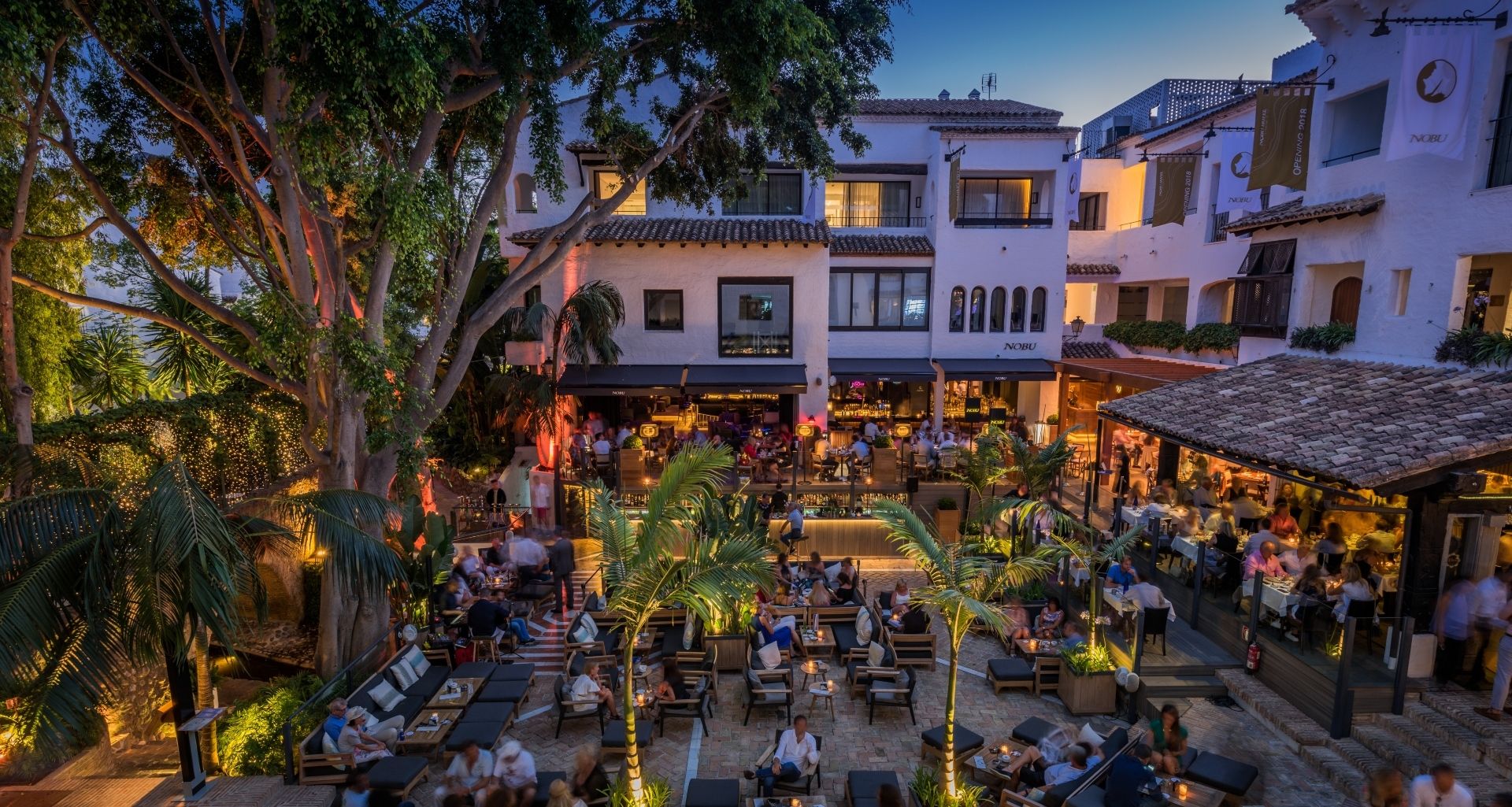 La Plaza at night