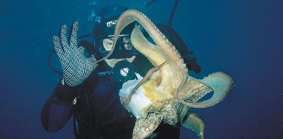Explore the wonders of the deep
