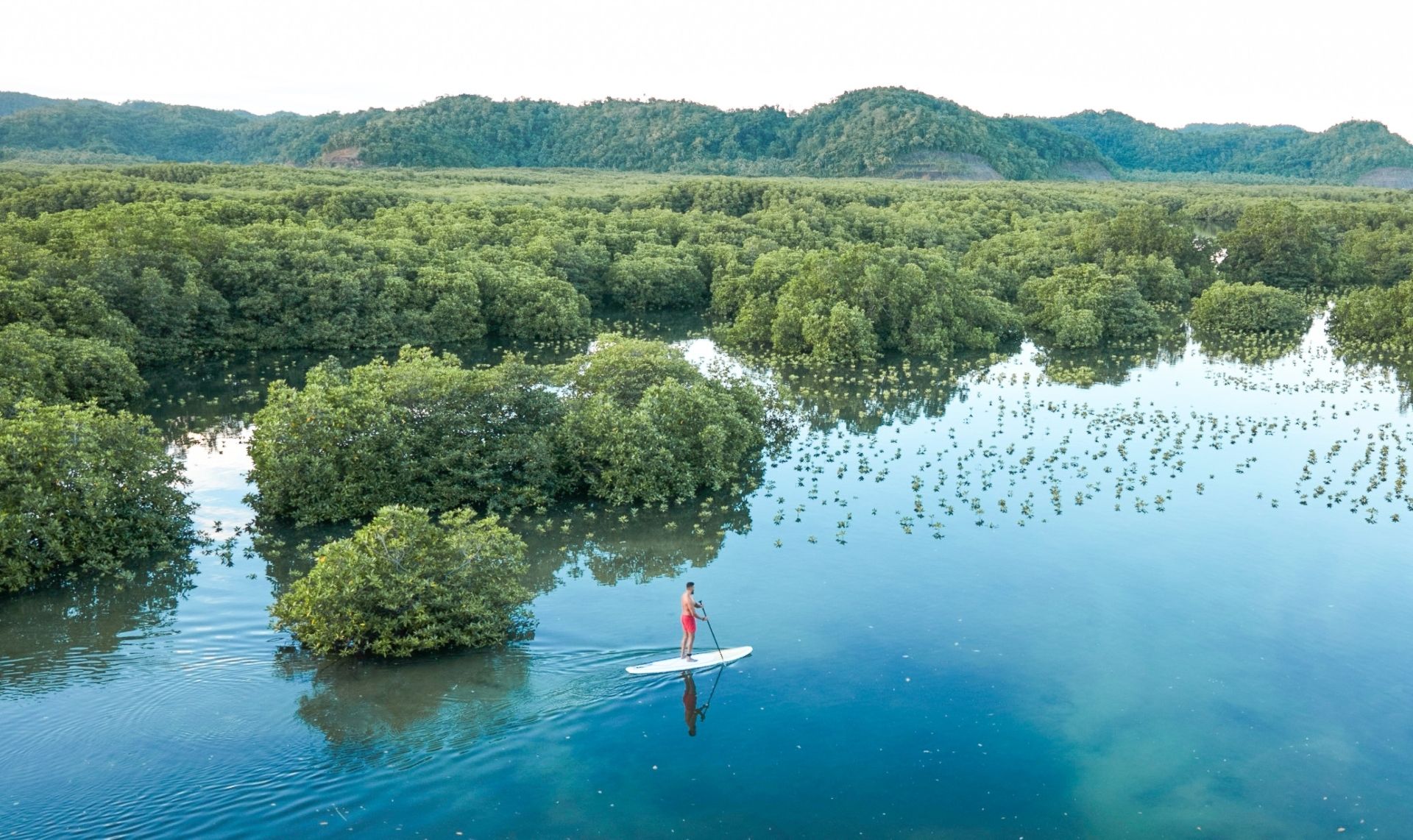 SUP in the Mangroves
